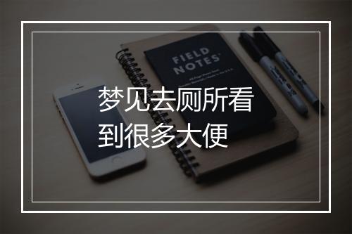 梦见去厕所看到很多大便