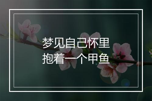 梦见自己怀里抱着一个甲鱼