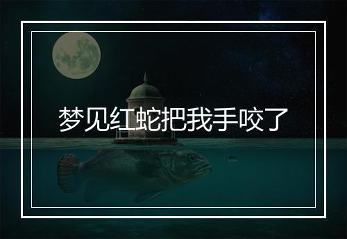 梦见红蛇把我手咬了