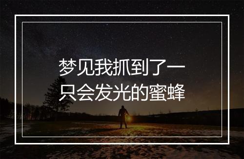 梦见我抓到了一只会发光的蜜蜂