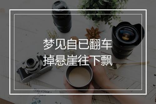 梦见自已翻车掉悬崖往下飘