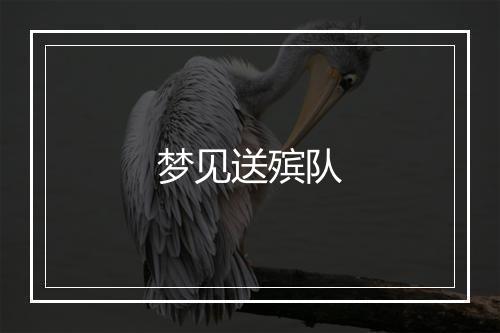 梦见送殡队