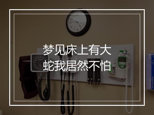 梦见床上有大蛇我居然不怕