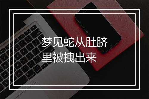 梦见蛇从肚脐里被拽出来