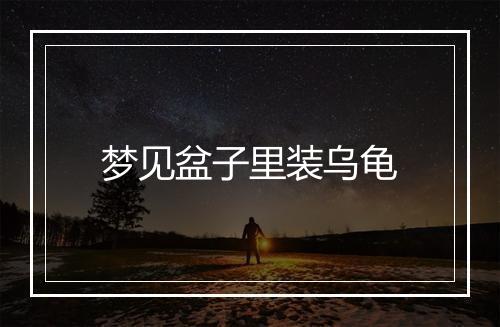 梦见盆子里装乌龟