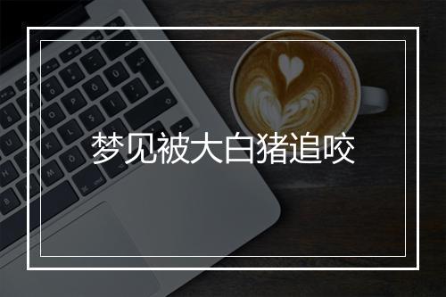 梦见被大白猪追咬