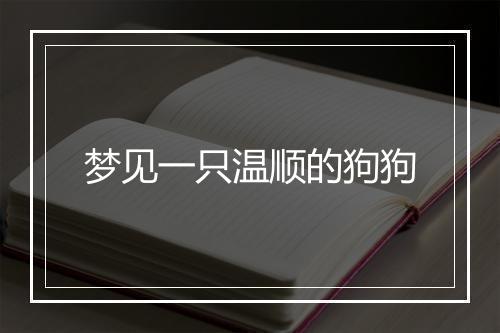 梦见一只温顺的狗狗