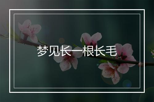 梦见长一根长毛