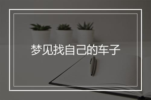 梦见找自己的车子