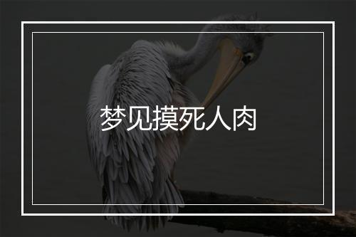 梦见摸死人肉