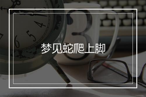 梦见蛇爬上脚