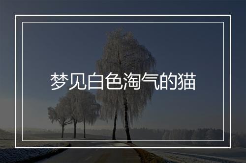 梦见白色淘气的猫