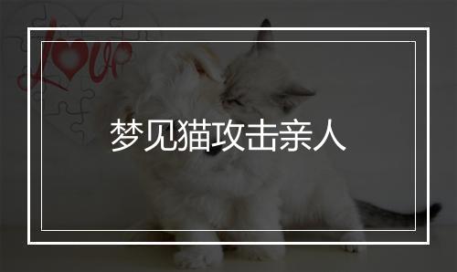 梦见猫攻击亲人