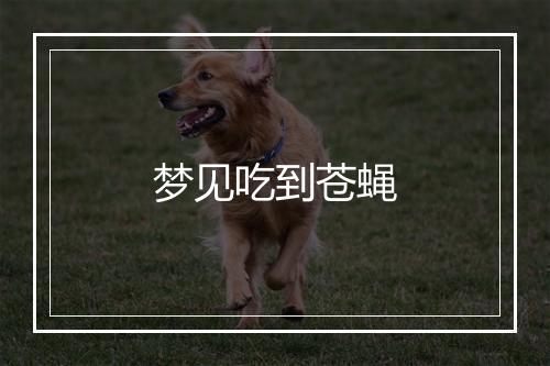 梦见吃到苍蝇