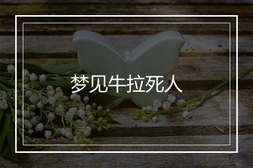 梦见牛拉死人