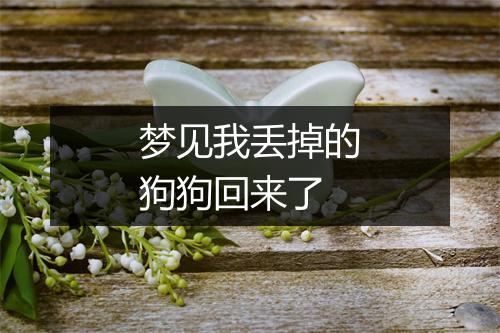 梦见我丢掉的狗狗回来了