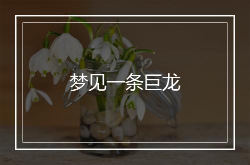 梦见一条巨龙