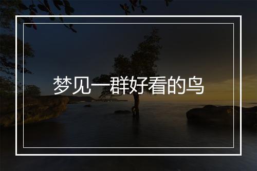 梦见一群好看的鸟