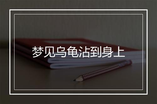 梦见乌龟沾到身上