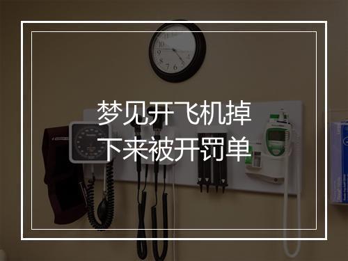 梦见开飞机掉下来被开罚单