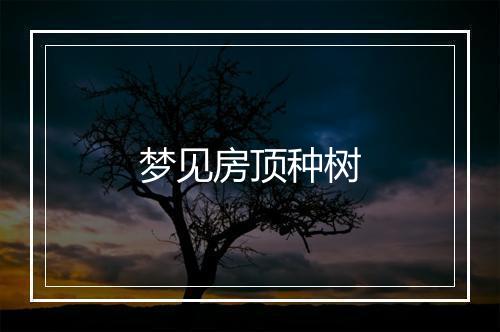 梦见房顶种树