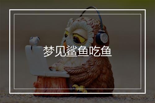 梦见鲨鱼吃鱼