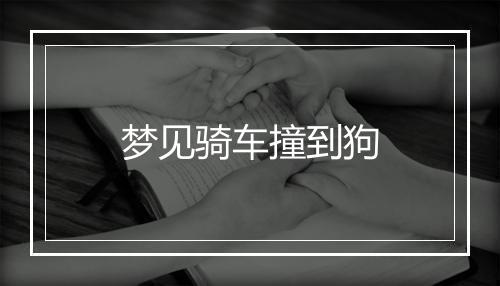 梦见骑车撞到狗