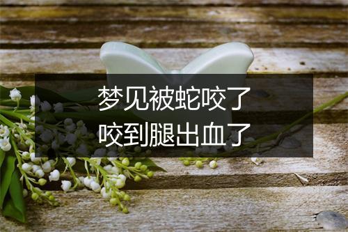 梦见被蛇咬了咬到腿出血了