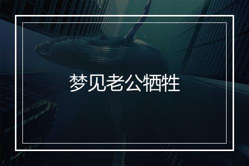 梦见老公牺牲