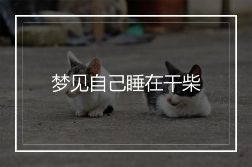 梦见自己睡在干柴