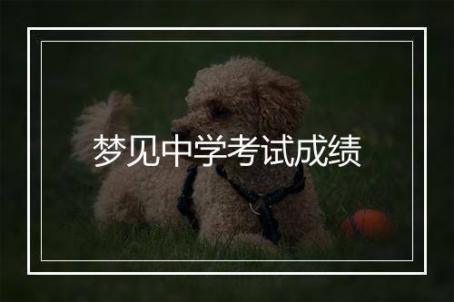 梦见中学考试成绩