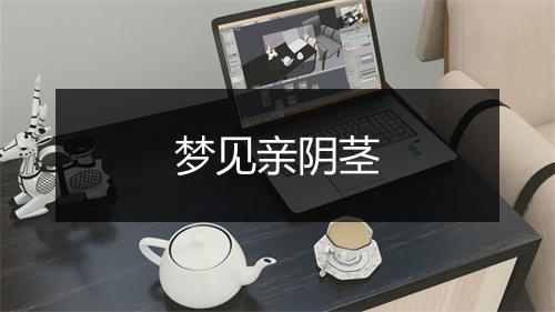 梦见亲阴茎