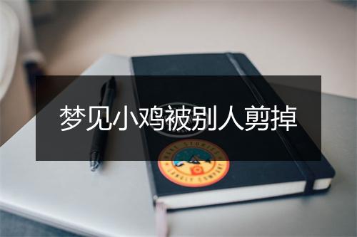 梦见小鸡被别人剪掉