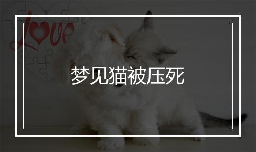 梦见猫被压死