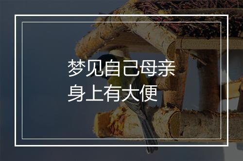 梦见自己母亲身上有大便