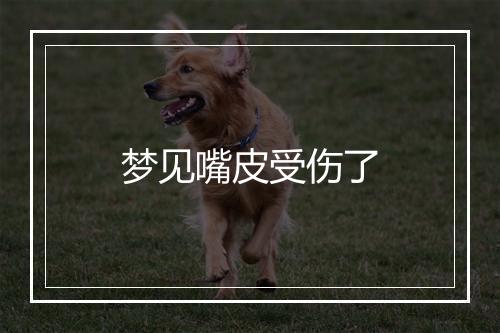 梦见嘴皮受伤了