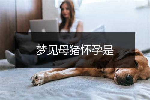 梦见母猪怀孕是