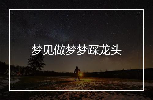 梦见做梦梦踩龙头