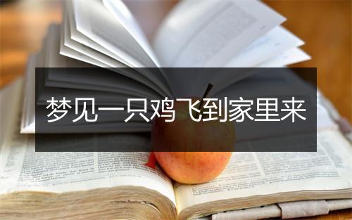 梦见一只鸡飞到家里来