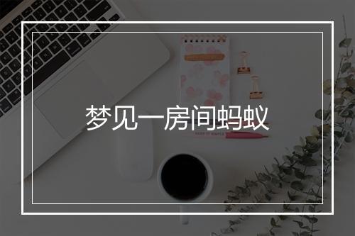 梦见一房间蚂蚁