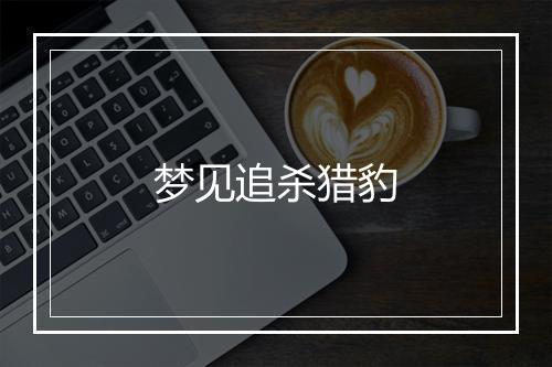 梦见追杀猎豹