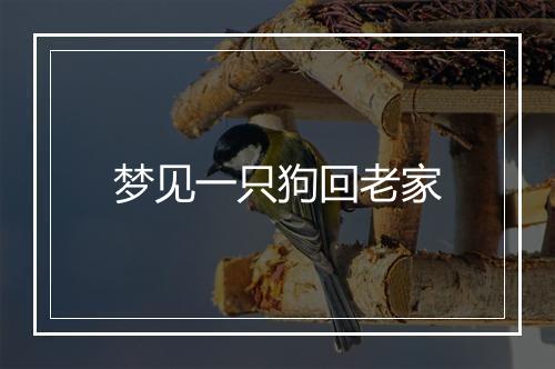 梦见一只狗回老家