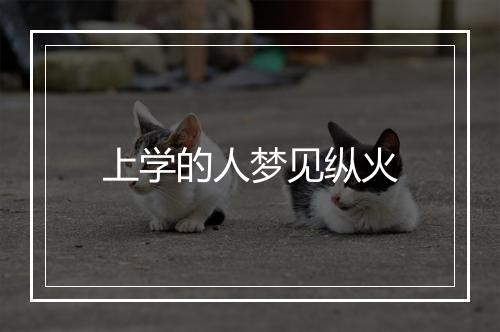 上学的人梦见纵火