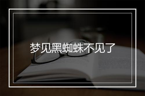 梦见黑蜘蛛不见了