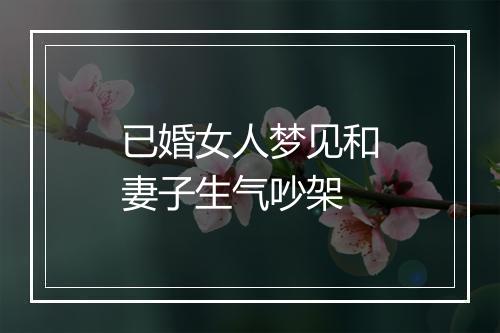 已婚女人梦见和妻子生气吵架