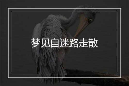 梦见自迷路走散