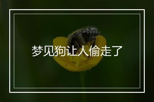 梦见狗让人偷走了