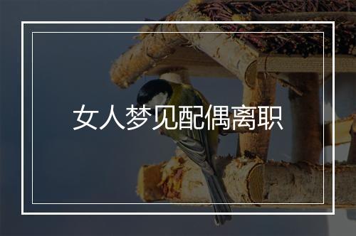 女人梦见配偶离职