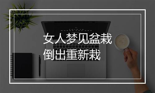 女人梦见盆栽倒出重新栽