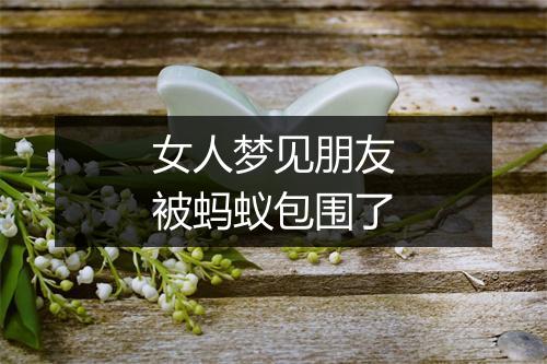 女人梦见朋友被蚂蚁包围了